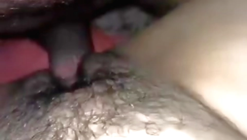 Indian brunette amateur sex video with a hairy pussy