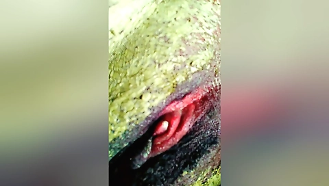 Busty woman with a big round ass is fucked and creampie