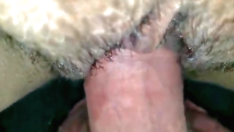 Hairy indian babe with hairy bush fucks a dude in a romantic way